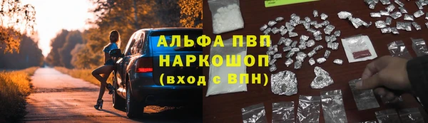 ПСИЛОЦИБИНОВЫЕ ГРИБЫ Заводоуковск