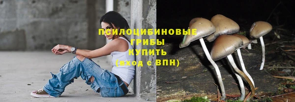 ПСИЛОЦИБИНОВЫЕ ГРИБЫ Заводоуковск