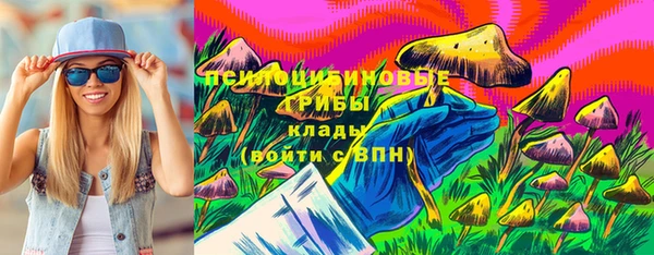 ПСИЛОЦИБИНОВЫЕ ГРИБЫ Заводоуковск