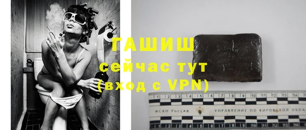 гидра Елабуга