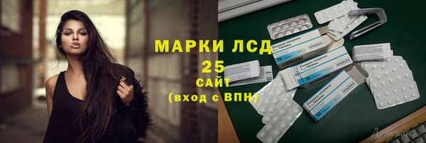гидра Елабуга