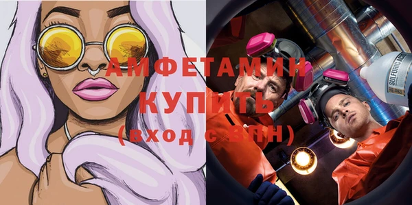 ПСИЛОЦИБИНОВЫЕ ГРИБЫ Заводоуковск