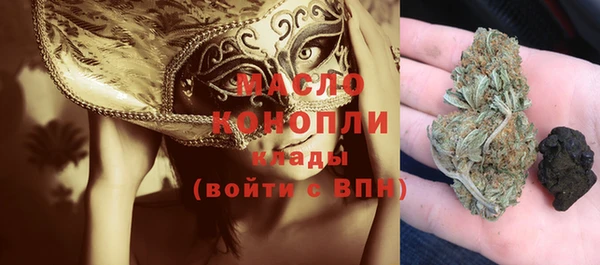 гидра Елабуга