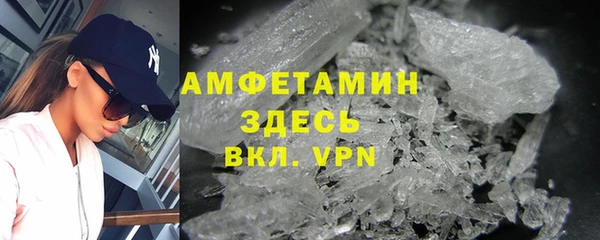 гидра Елабуга