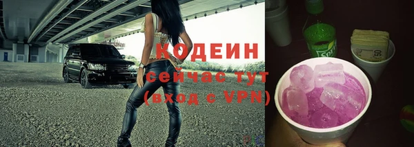 прущая мука Ельня