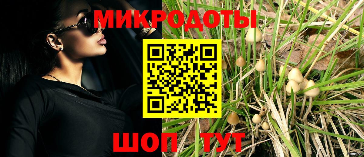 где купить наркотик  Псилоцибиновые грибы GOLDEN TEACHER  Вход с VPN  Петропавловск-Камчатский 
