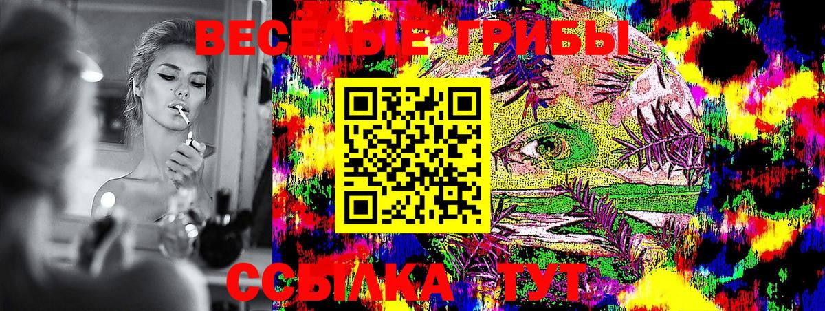 Псилоцибиновые грибы MAGIC MUSHROOMS  Петропавловск-Камчатский 