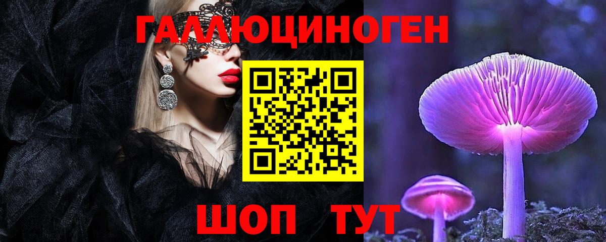 Псилоцибиновые грибы мицелий Петропавловск-Камчатский
